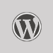 WordPress Icon  - Hosting, Building Websites at Mejora Infotech