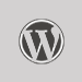 WordPress Icon - Hosting, Building Websites at Mejora Infotech